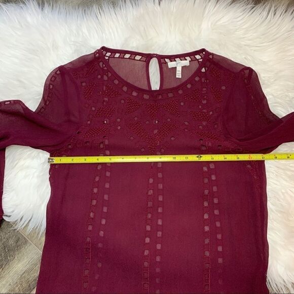 Joie Raisin Gaiane Embroidered Eyelet Blouse - Picture 9 of 11